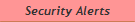 Security Alerts