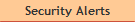Security Alerts